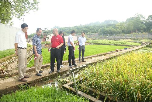 農業農村部科技發展中心調研祁陽站 聚焦前沿，共促農業技術創新發展