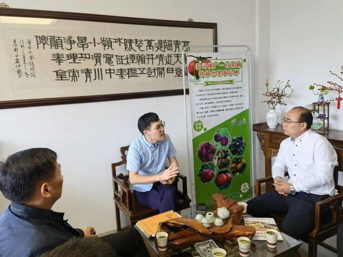 招商征途與農業創新 位副縣長、鄉黨委書記周偉的城鄉發展蹲點筆記