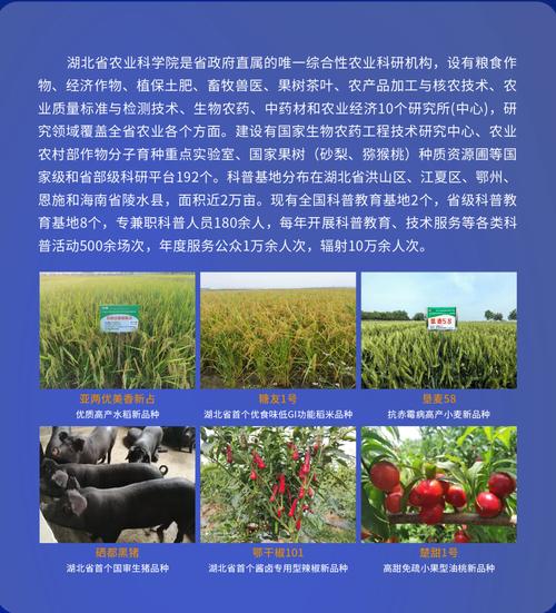 量子科技賦能荊楚沃土 武漢量子技術研究院的農業新探索