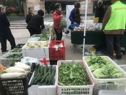 便捷與實惠并行 高品質(zhì)農(nóng)產(chǎn)品進社區(qū)，守護市民餐桌健康