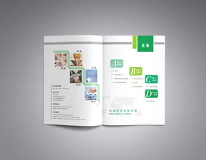 彩瑞數碼科技 產品畫冊策劃與數字廣告設計的創新融合